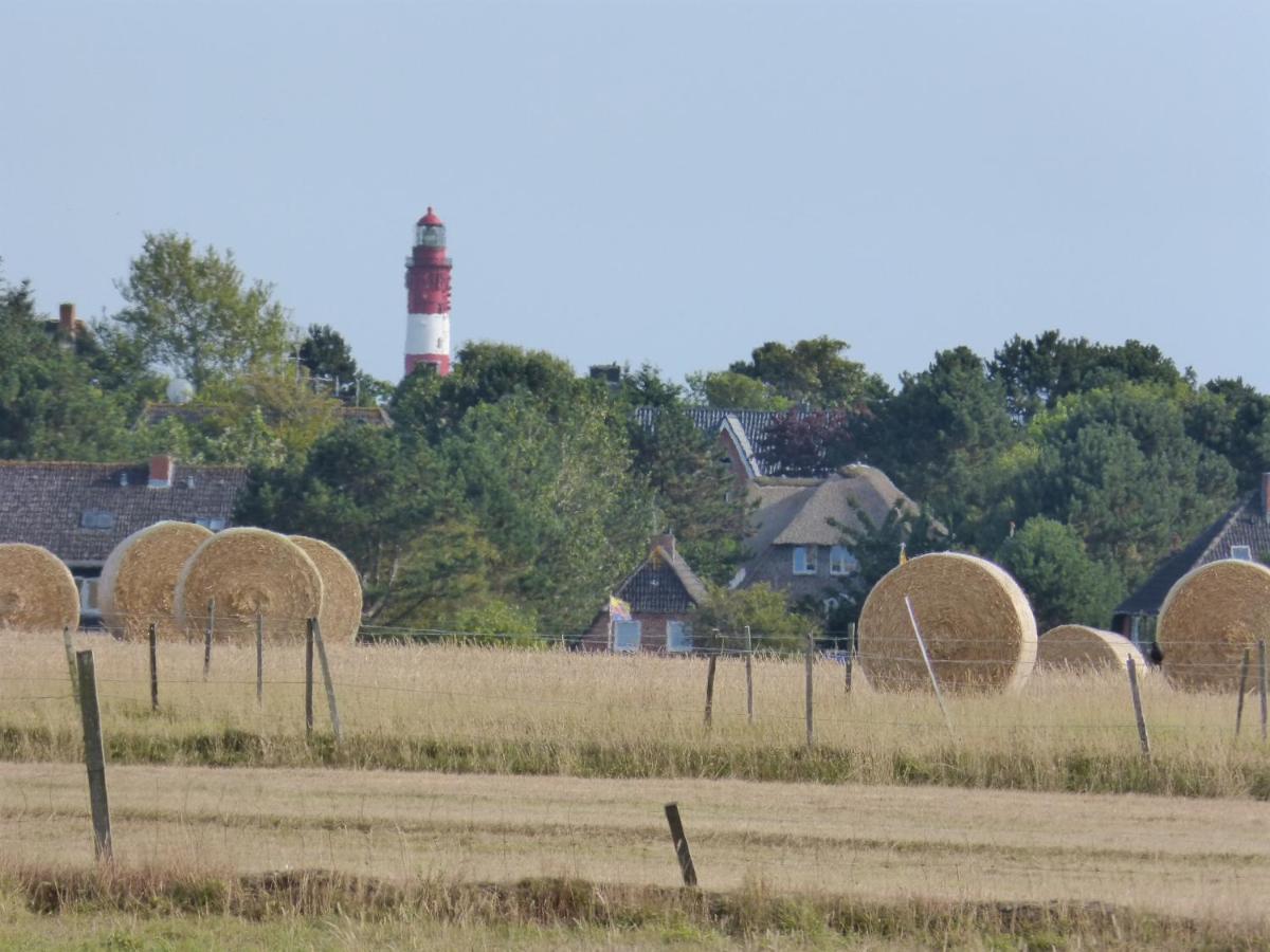 Strand Residenz Amrum *Strand Residenz 9* Wittdün Eksteriør billede